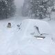 Image for article titled A Tesla Engineer's Jeep Ended Up Under 10 Feet of Snow for Months and It's Still There